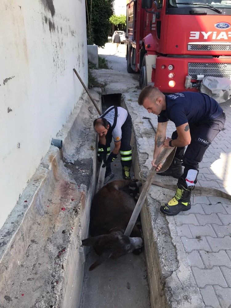 Su Kanal Na D En E Ek Kurtar Ld Hatay Haberleri