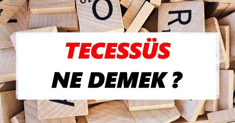 Tecessüs Ne Demek TDKya Göre Tecessüs Sözlük Anlamı Nedir Tdk