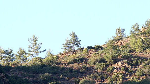 Köşeye sıkıştırılan terörist kendini patlattı