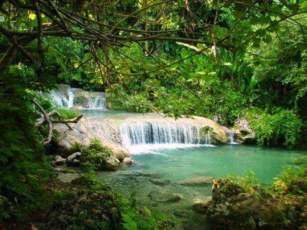 44 Bitcoin ile vatandaşlık veriyor