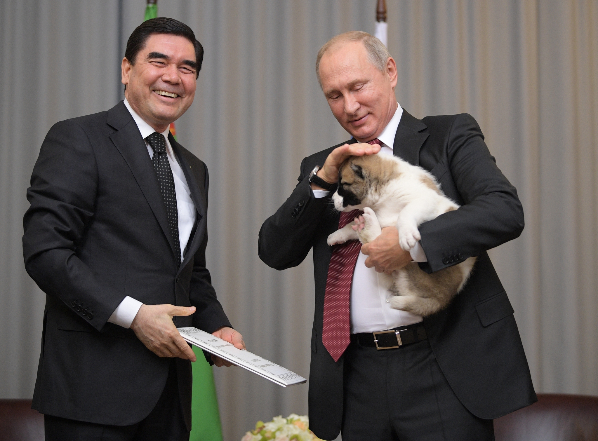 Putin’e çoban köpeği hediye edildi!