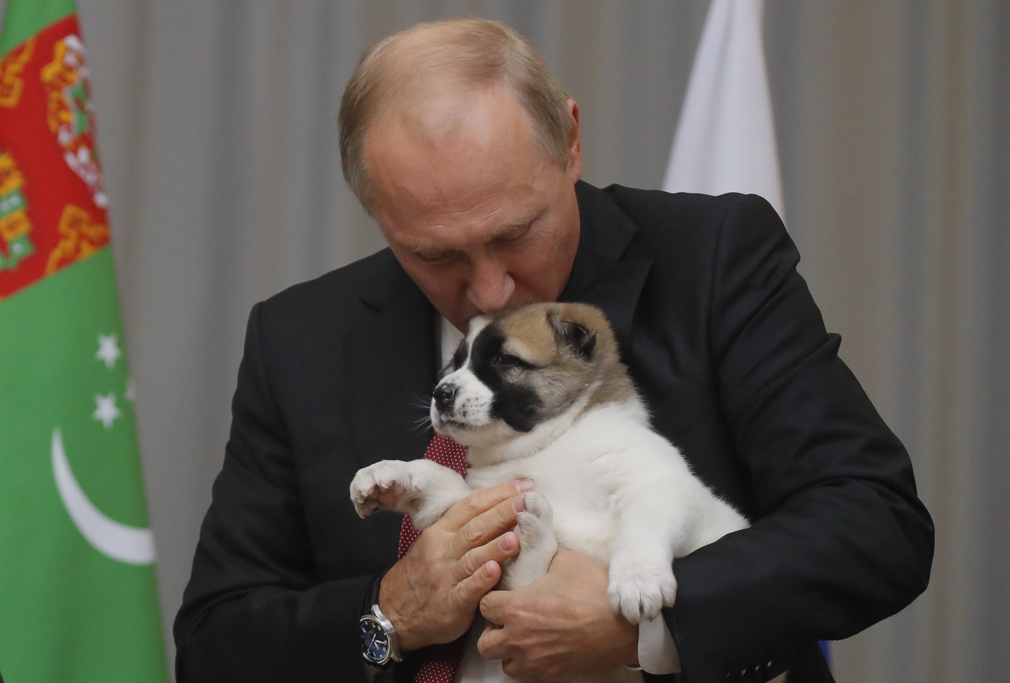 Putin’e çoban köpeği hediye edildi!