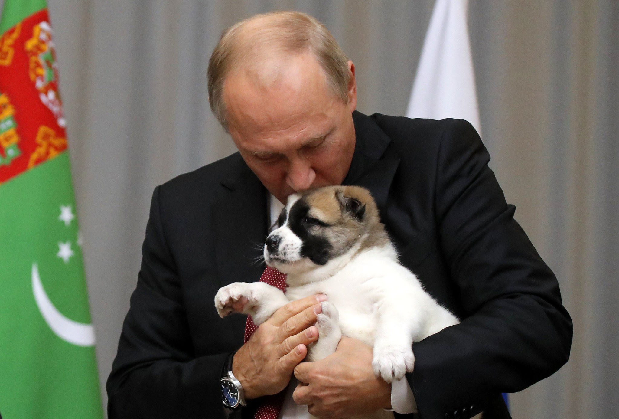 Putin’e çoban köpeği hediye edildi!