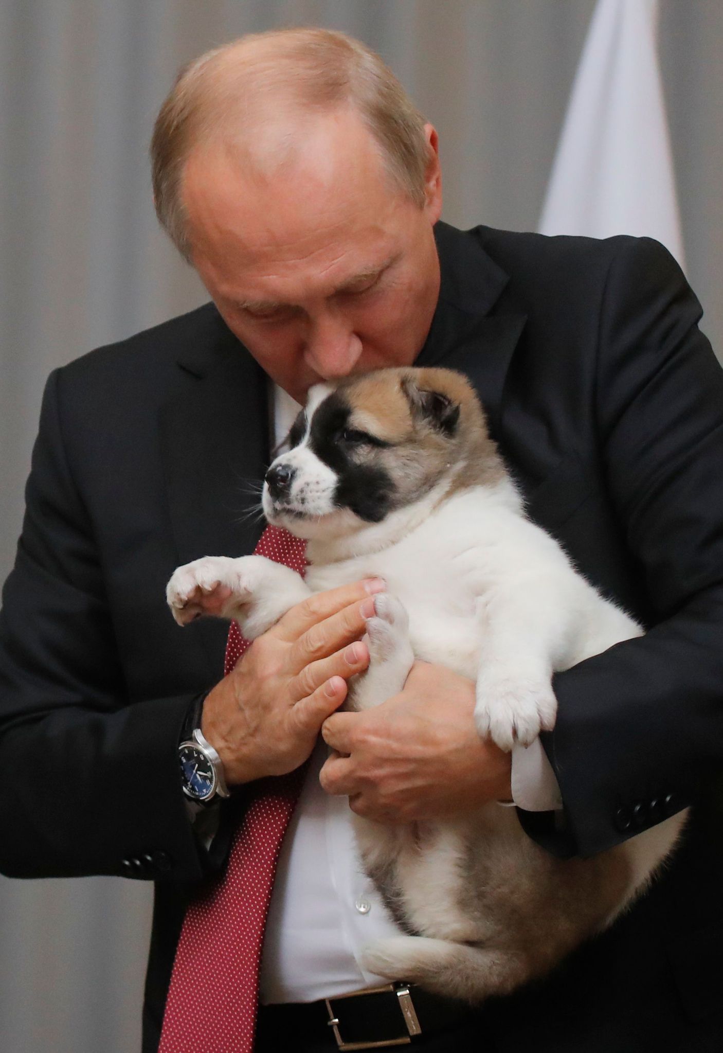 Putin’e çoban köpeği hediye edildi!