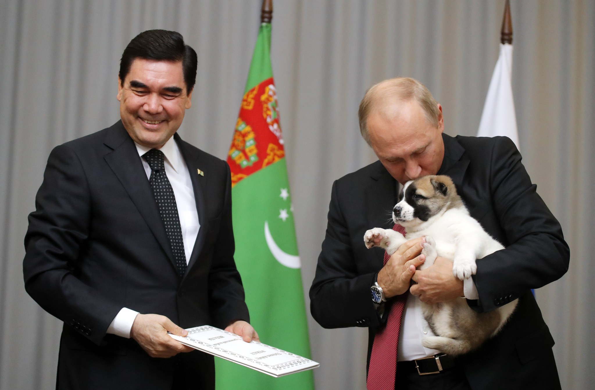 Putin’e çoban köpeği hediye edildi!
