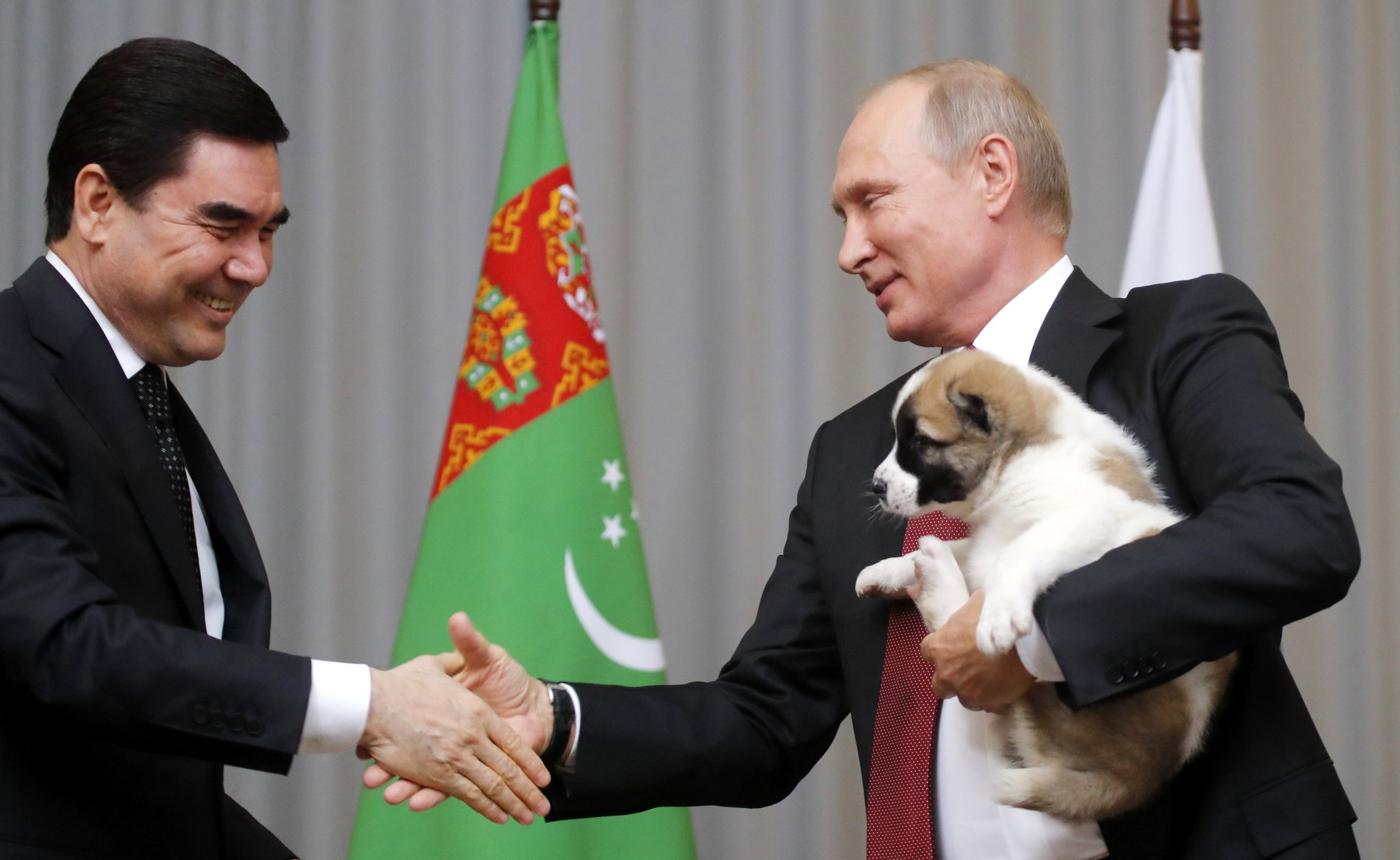Putin’e çoban köpeği hediye edildi!