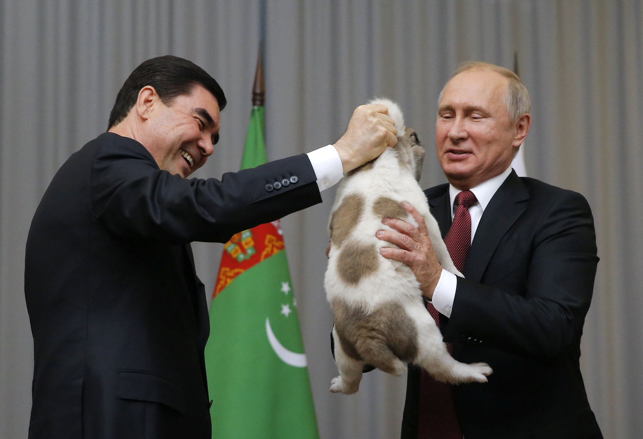 Putin’e çoban köpeği hediye edildi!