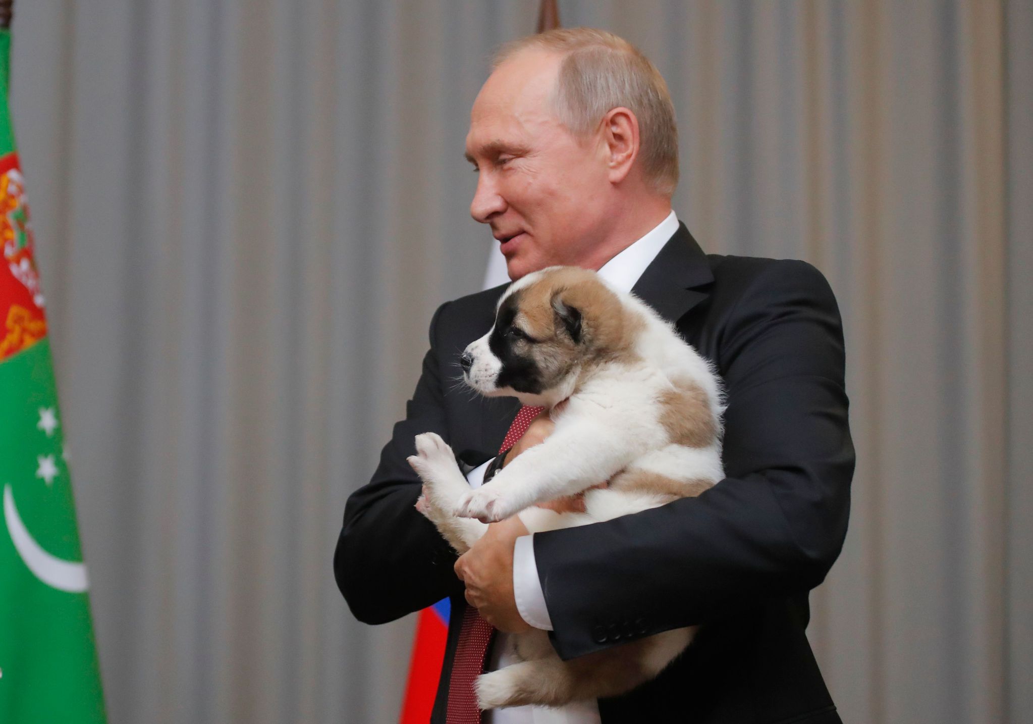 Putin’e çoban köpeği hediye edildi!