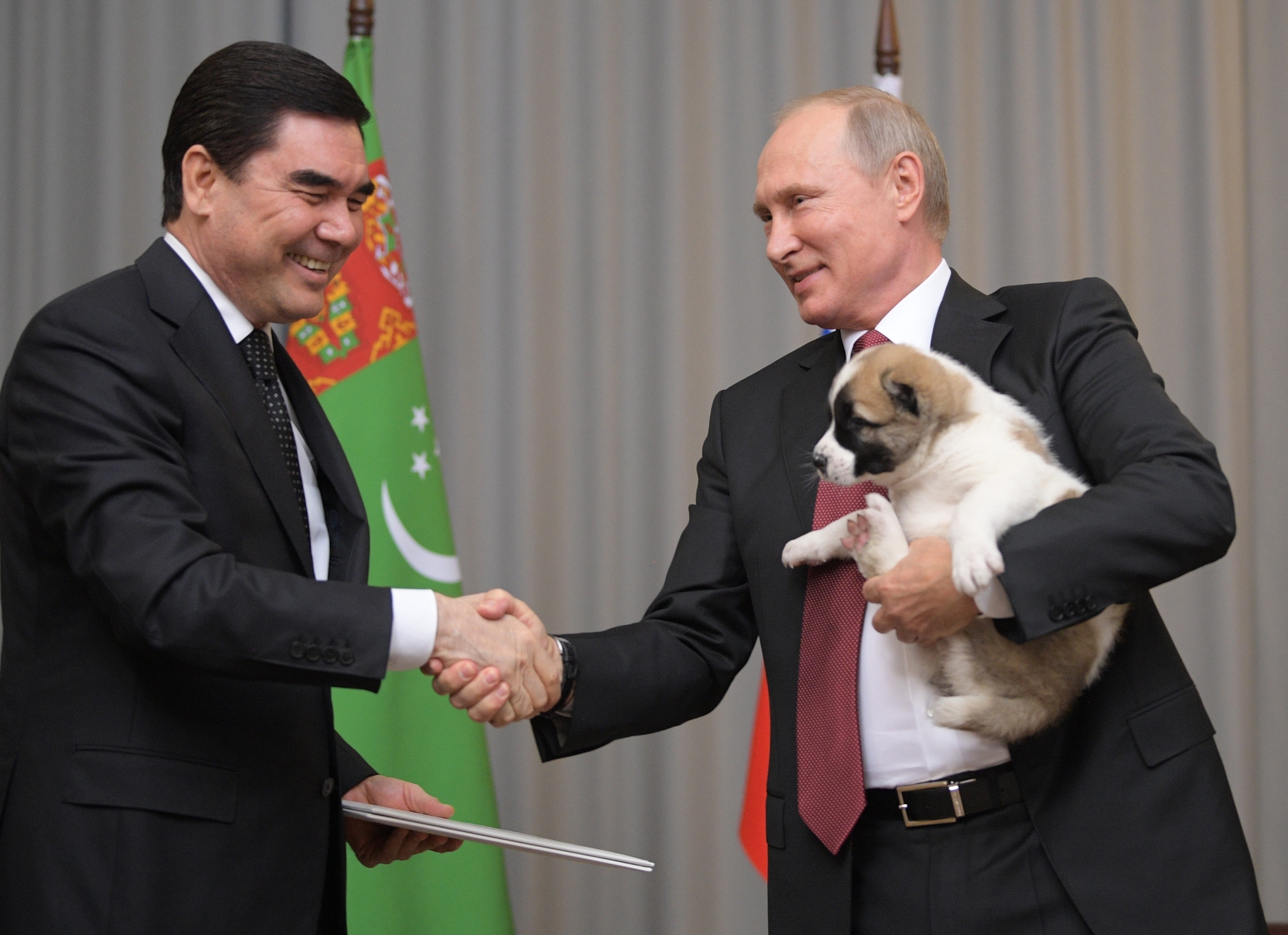 Putin’e çoban köpeği hediye edildi!