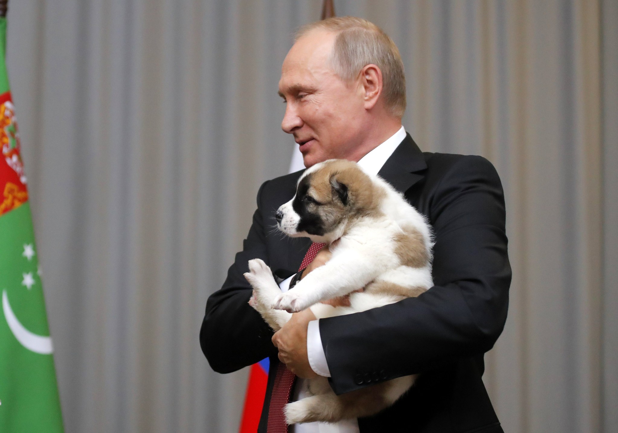 Putin’e çoban köpeği hediye edildi!