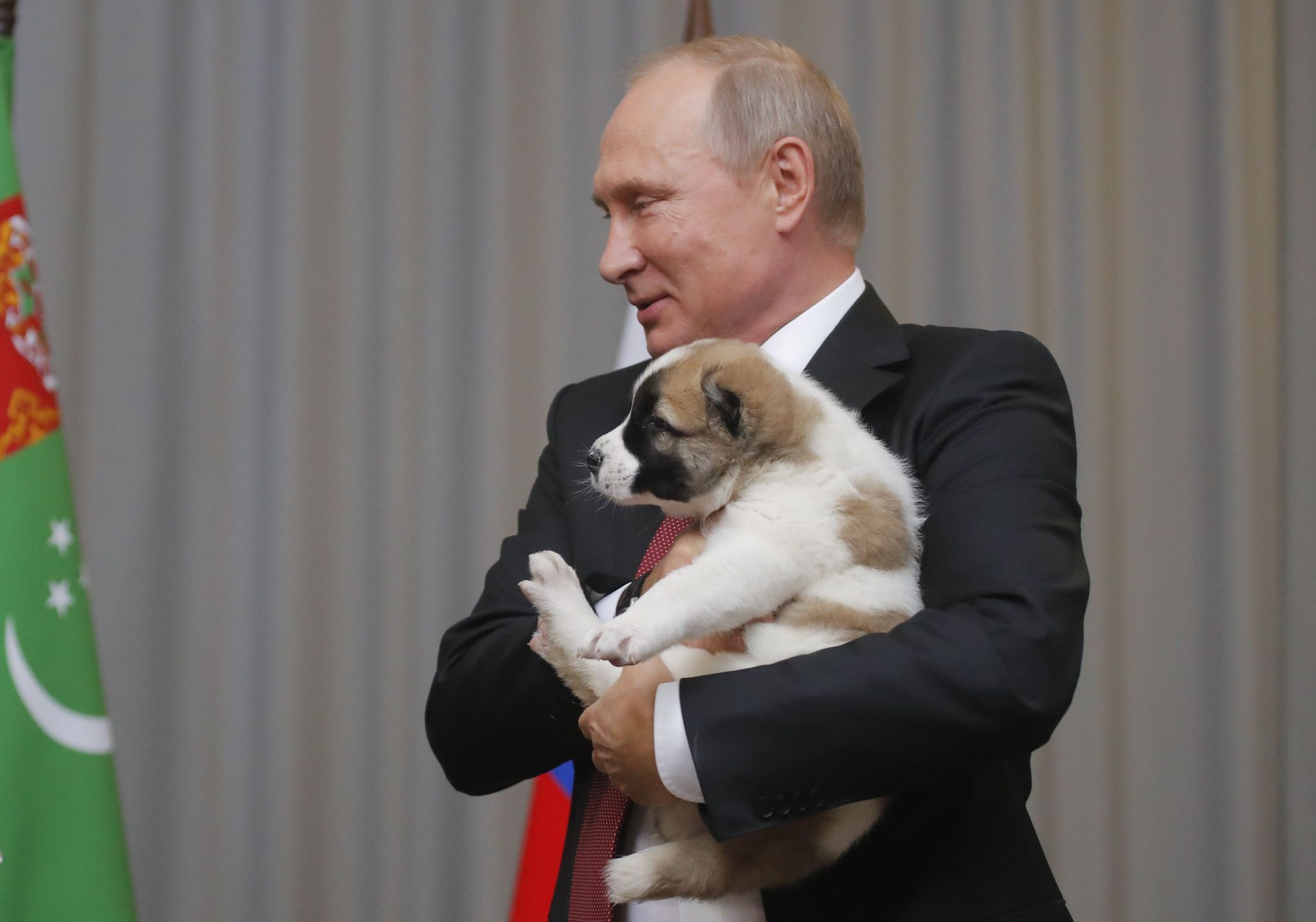Putin’e çoban köpeği hediye edildi!