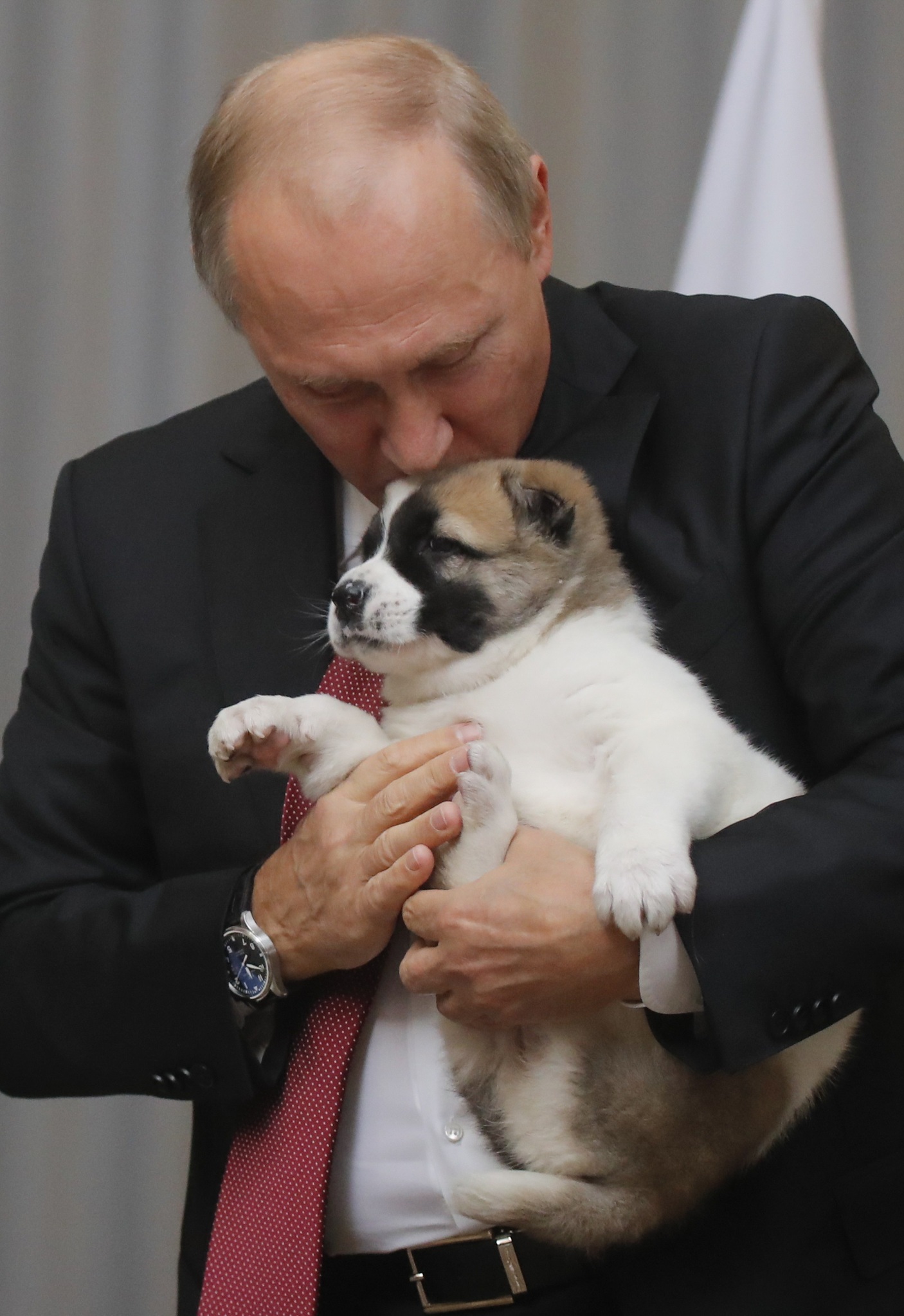 Putin’e çoban köpeği hediye edildi!
