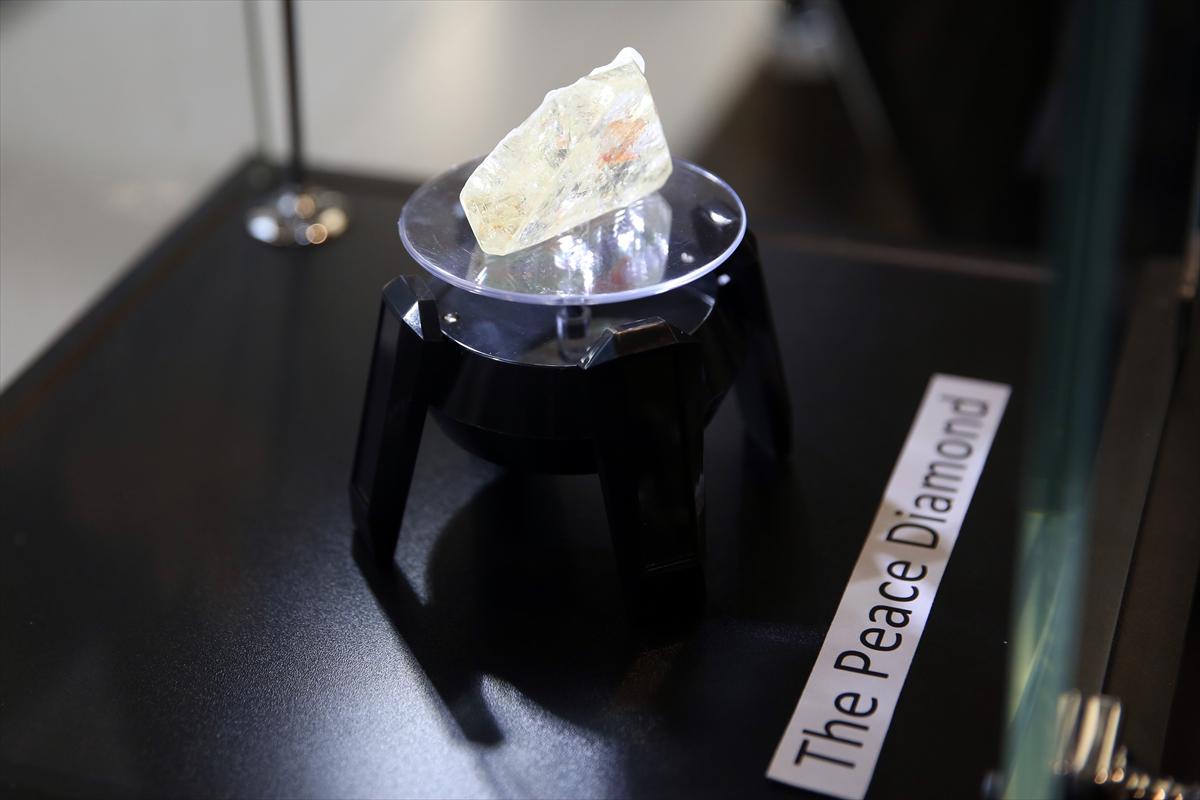 ’Barış Elması’ 6.5 milyon dolara satıldı