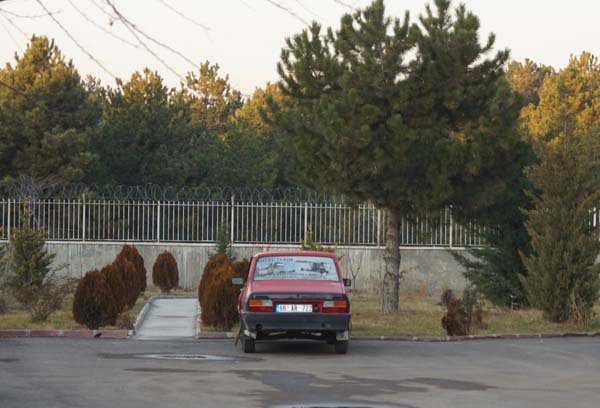 4 büyükbaş hayvanı otomobile sığdırdı