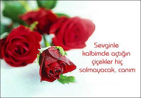 14 Şubat Sevgililer günü mesajları 2018 bu sayfada! - Aşk dolu ve resimli Sevgililer günü kutlama mesajları