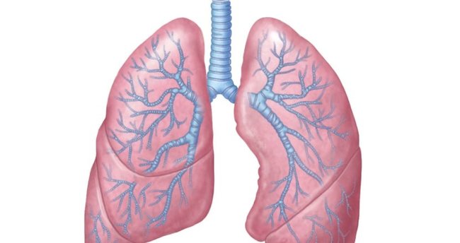 Her yıl 50 bin kişinin teşhis konulduğu Akciğer kanserinin 10 belirtisi