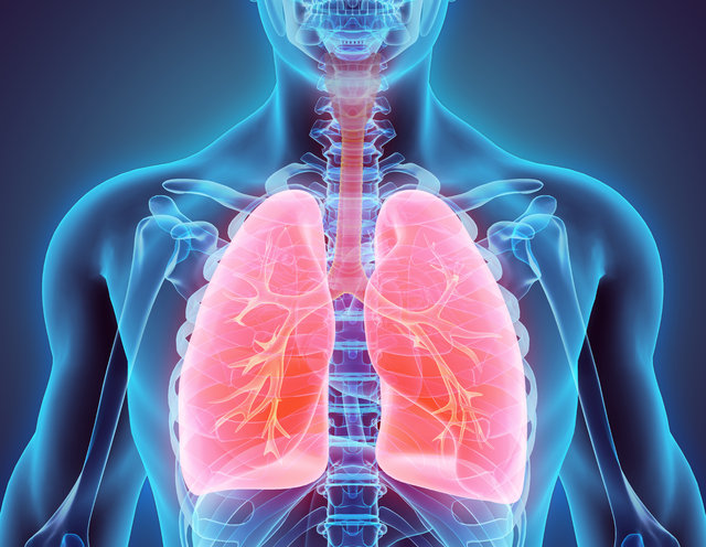 Her yıl 50 bin kişinin teşhis konulduğu Akciğer kanserinin 10 belirtisi