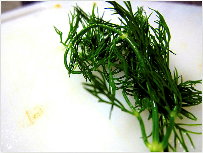 1 hafta boyunca dereotu tüketirseniz...