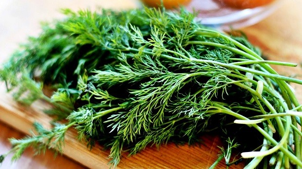 1 hafta boyunca dereotu tüketirseniz...