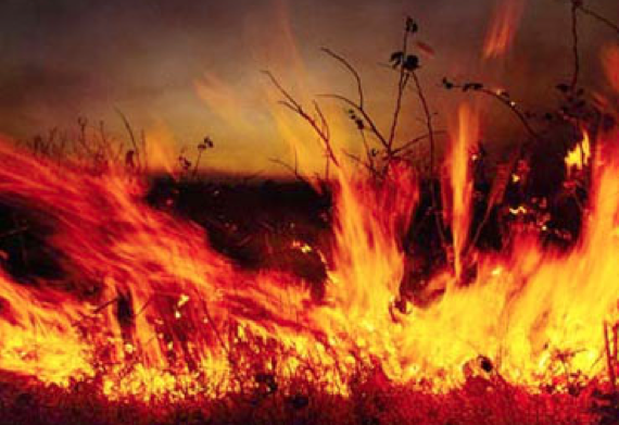 Papa ’cehennem yok’ dedi Vatikan karıştı