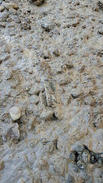 FETÖ’cünün çukura attığı telefon tonlarca su tahliye edilerek bulundu