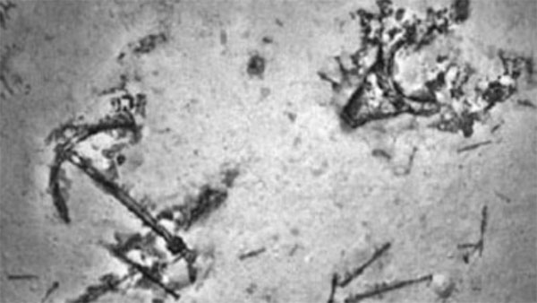 Kaybolan Malezya uçağını arıyorlardı...