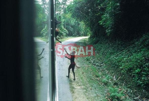 Girmenin yasak olduğu ada Kuzey Sentinel Adası!