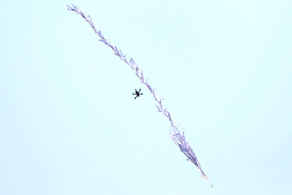 Son Dakika:İsrail-Gazze sınırında feci görüntüler! Dünya şokta...