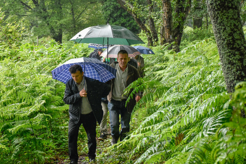 Srebrenitsa’ya Barış Yürüyüşü bu yıl daha hüzünlü olacak