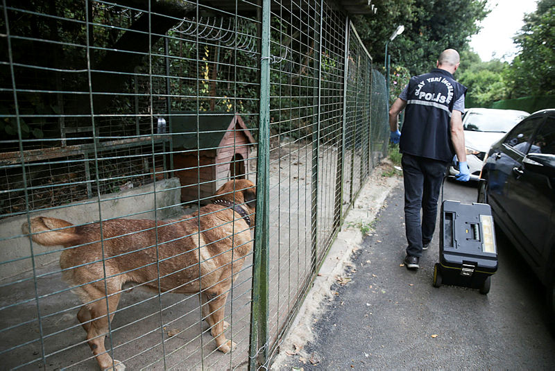 Dilek Güngör yazdı... İşte lüks düşkünü Adnan Oktar’ın para musluğu...
