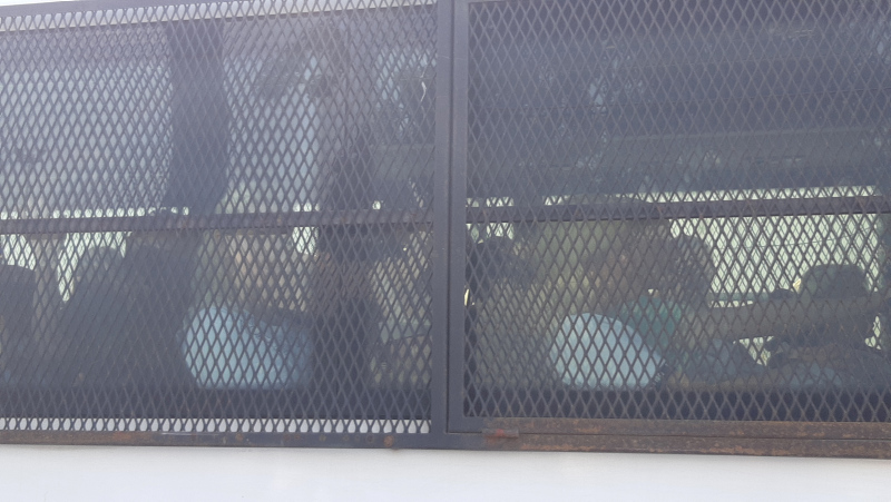 Adnan Oktar soruşturması: Tutuklanan kadınlar Bakırköy Cezaevi’ne getirildi