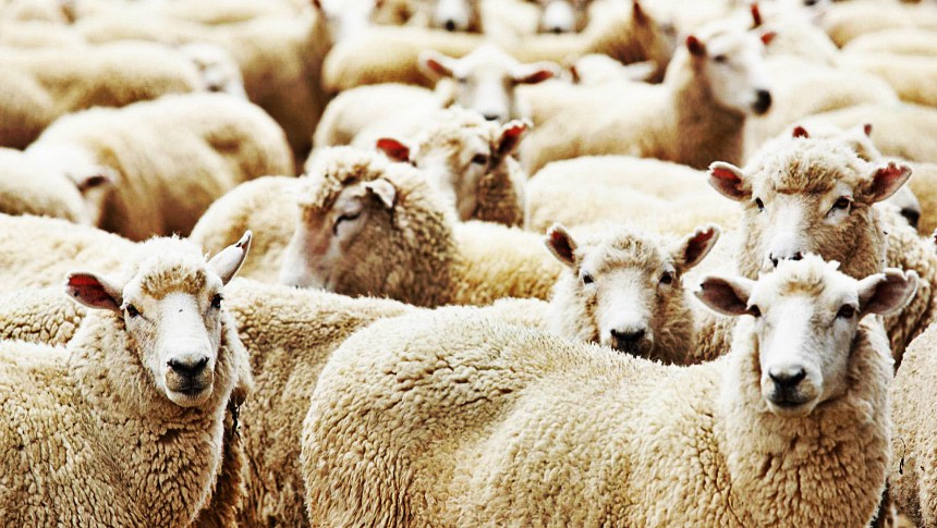 Kurban Bayramı 2018 ne zaman ve hangi güne denk geliyor? - Kurban Bayramı tarihi ne zaman!