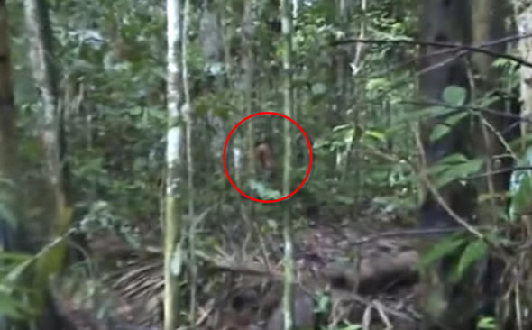 Dünyanın en yalnız adamı! Herkes merak ediyordu; böyle görüntülendi