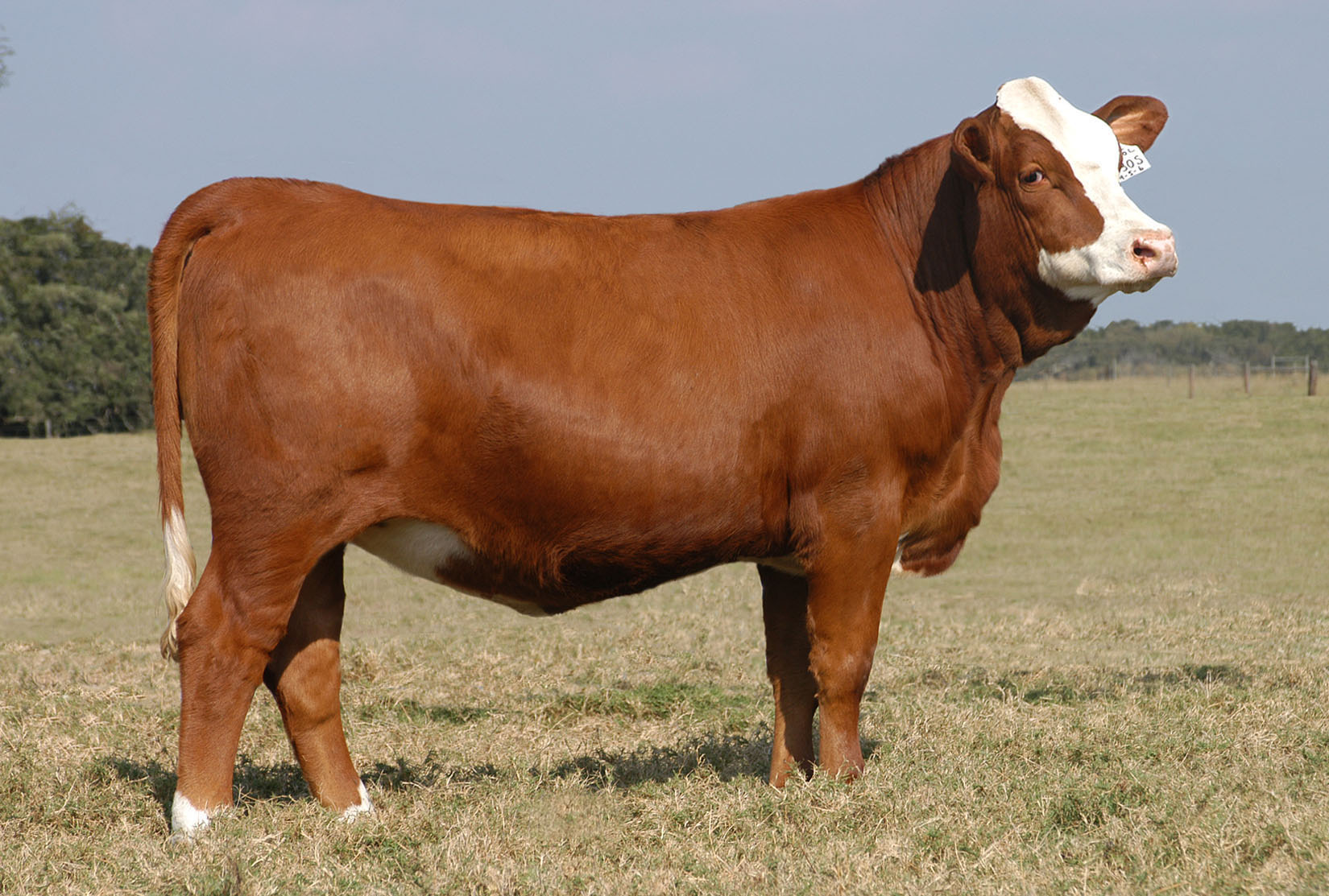 Son dakika: Kurban Bayramı tatil süresi belli oldu! 2018 Kurban Bayramı tatili kaç gün? Bayram tatili 9 gün mü?