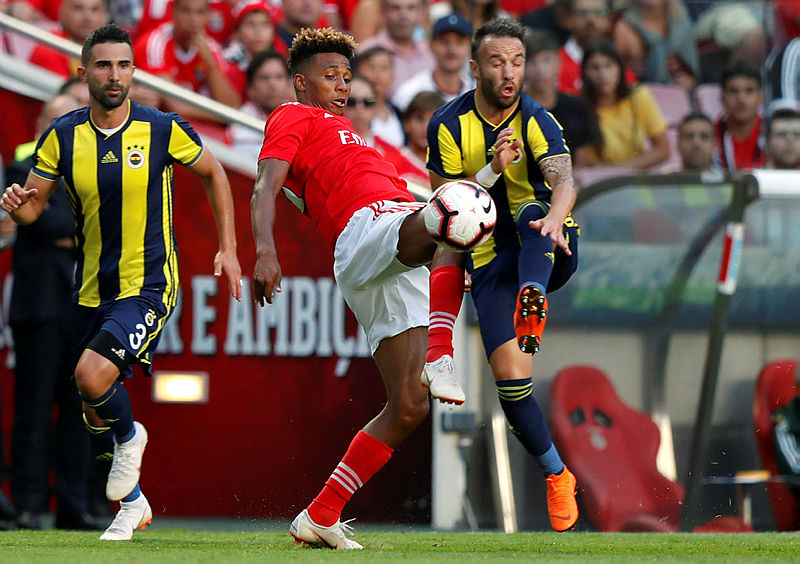 Ahmet Çakar: Fenerbahçe'de tablo vahim - Sayfa 6 - Spor ...