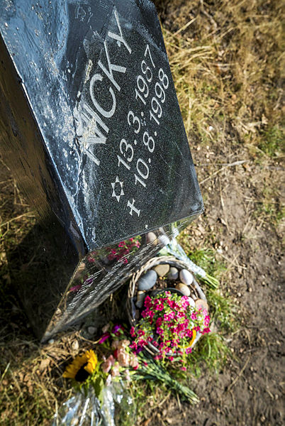 Hollanda’da katil DNA testi ile 20 yıl sonra yakalandı