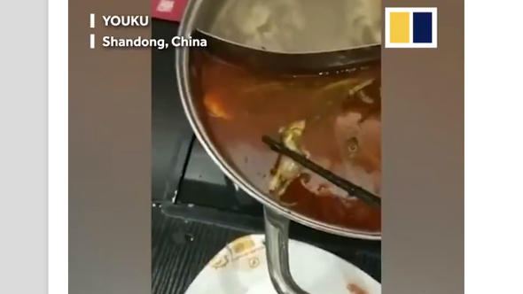 Çin’de çorbadan ölü fare çıktı