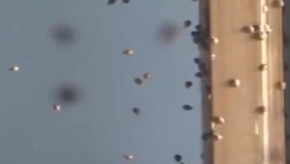 Bu kez uğur getirmedi! Cinsel yolla bulaşıyor...