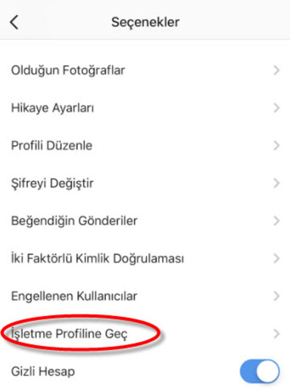 İnstagram hesabınıza kim girmiş? İnstagram hesabıma girenler nasıl anlaşılır?