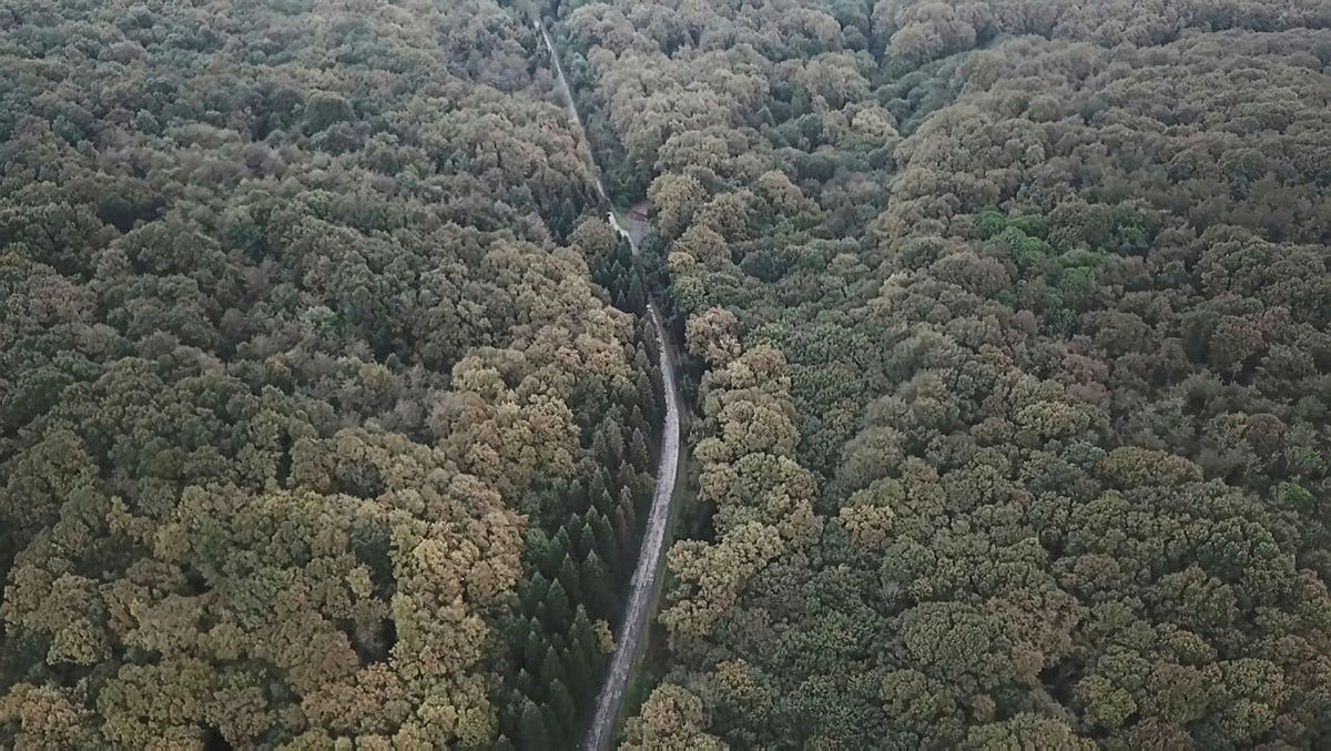 Son Dakika Haber | Cemal Kaşıkçı cinayetinde ormandaki keşif aracından İstasyon şefi Almuzaini çıktı!