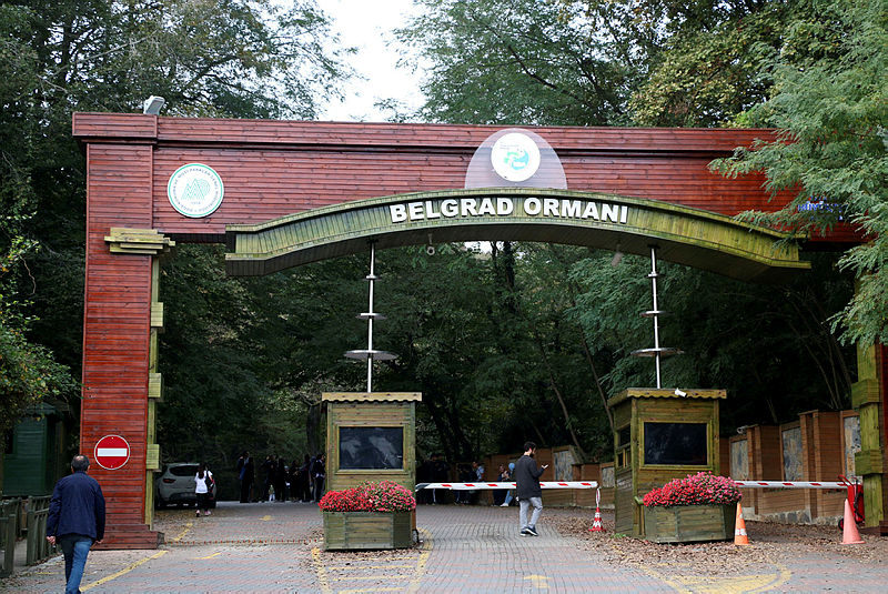 Son Dakika Haber | Cemal Kaşıkçı cinayetinde ormandaki keşif aracından İstasyon şefi Almuzaini çıktı!