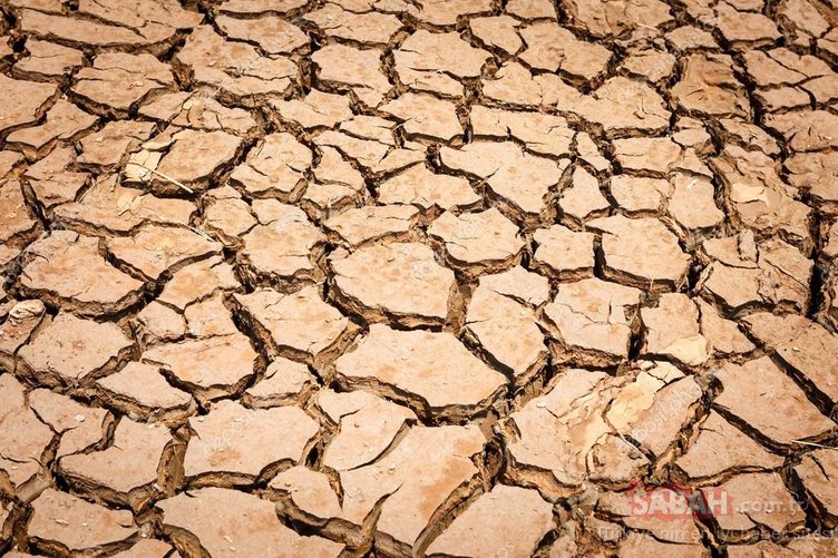 İmkansız dediler birer birer gerçek oldu!