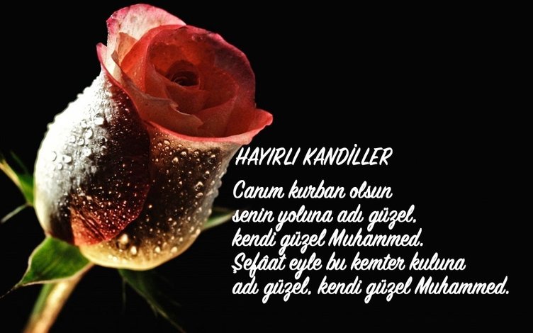 Mübarek Mevlid Kandil mesajları yayınlandı! 2018 Resimli Mevlid Kandili kutlama mesajları seçenekleri