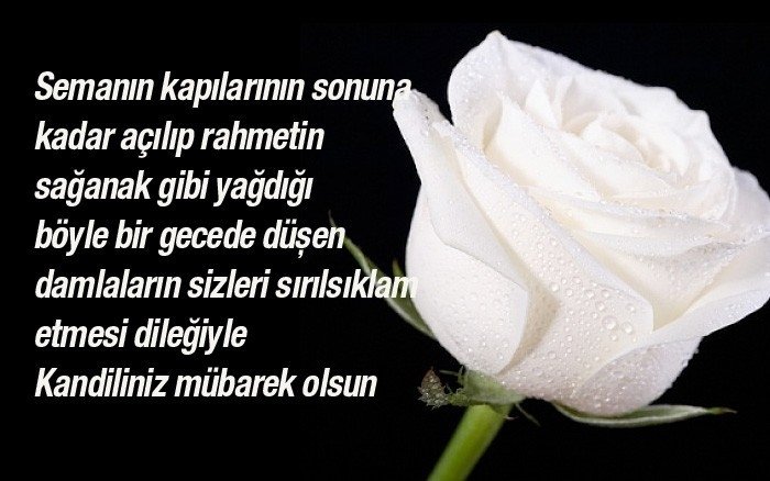 Mübarek Mevlid Kandil mesajları yayınlandı! 2018 Resimli Mevlid Kandili kutlama mesajları seçenekleri