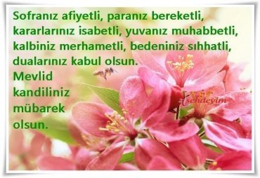 Mübarek Mevlid Kandil mesajları yayınlandı! 2018 Resimli Mevlid Kandili kutlama mesajları seçenekleri