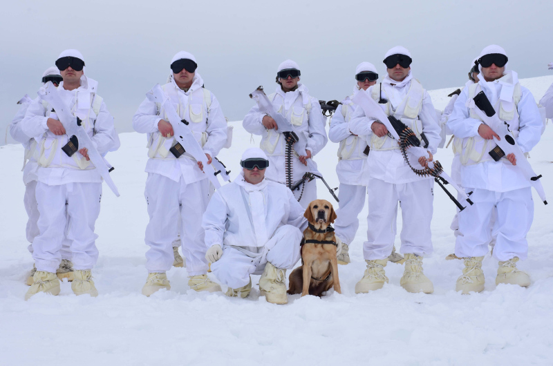 PKK kış için hazırladı, Mehmetçik nokta atışla buldu! İşte Muş’taki terör operasyonu