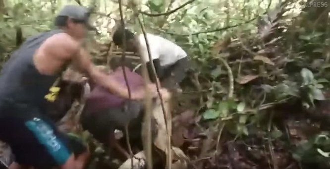 Balık tutmaya çalışırken pitona yem oluyordu! İşte o dehşet anları