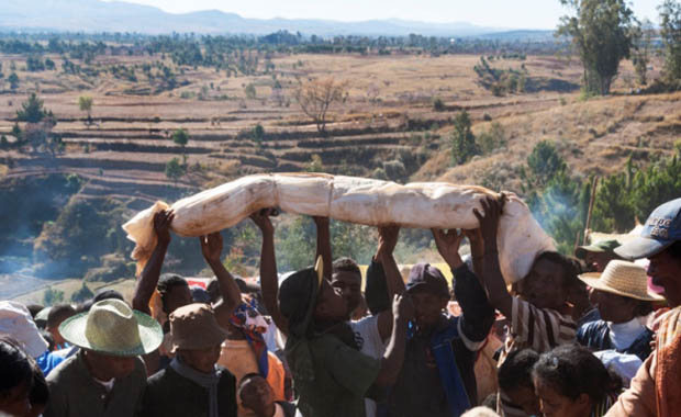 Son Dakika: Madagaskar’da tüm dünyayı şok eden festival! Ölüler...