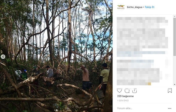 Son Dakika: Dünya bu haber ile çalkalanıyor: Ormanda bulundu...Herkes merak içinde!