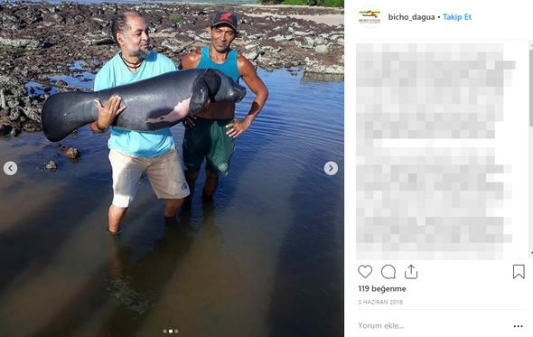 Son Dakika: Dünya bu haber ile çalkalanıyor: Ormanda bulundu...Herkes merak içinde!